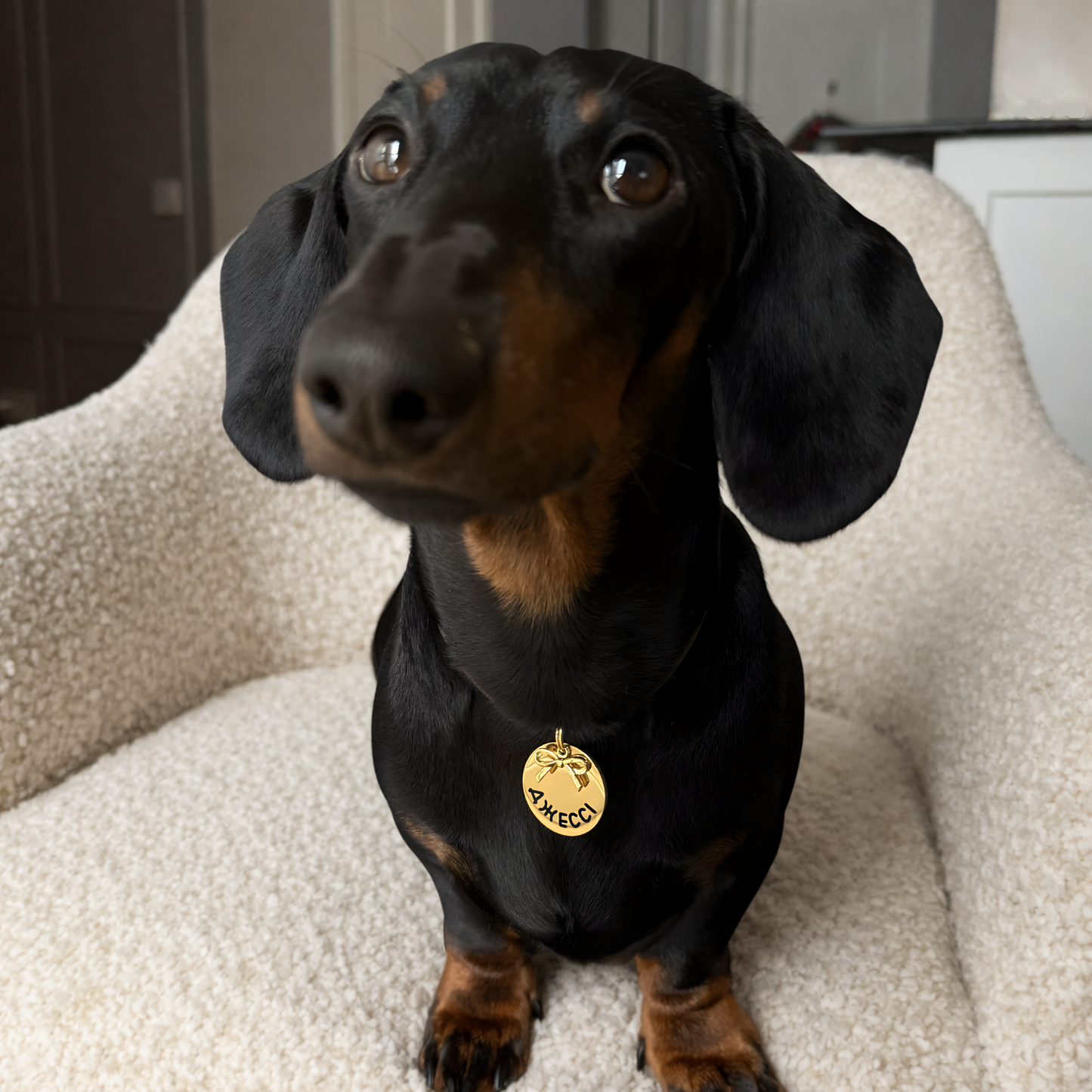 Адресник ПІДВІСКА